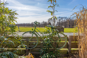 Großes Grundstück, viel Haus, keine Baustellen – sofort einziehen - Ausblick vom Grundstück (20052)
