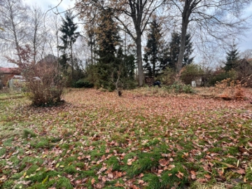 Großzügiges Pfeifengrundstück in Artlenburg - 1.001 m2 Fläche für Ihre Ideen - DieMaacklerOHG (17324)