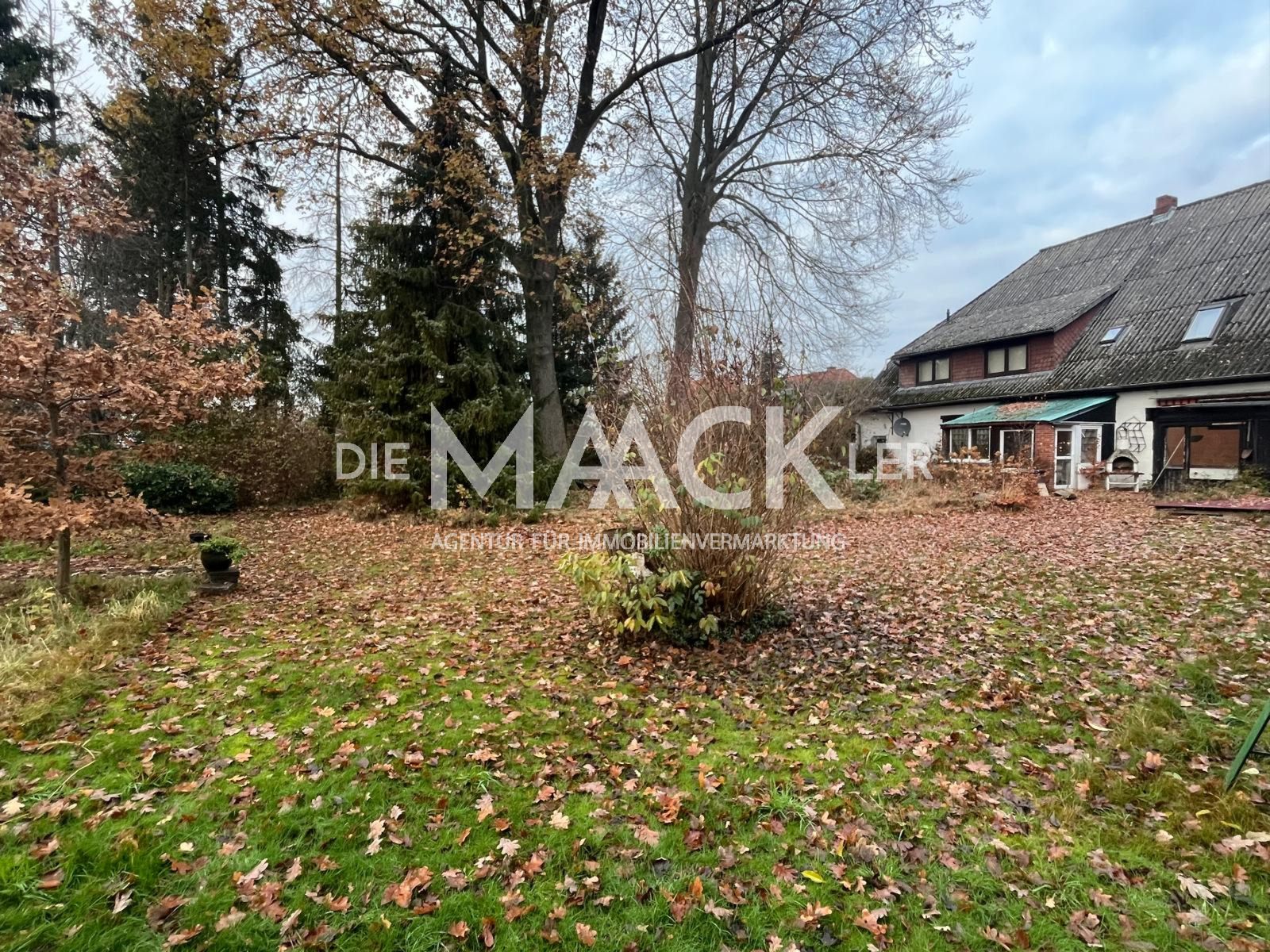 DieMaacklerOHG