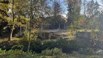 Ein Zuhause mit Geschichte – Resthof auf dem Land zu vermieten - DieMaacklerOHG (18641)