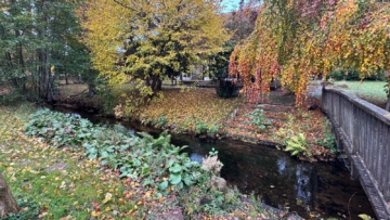 Ein Zuhause mit Geschichte – Resthof auf dem Land zu vermieten - DieMaacklerOHG (18636)